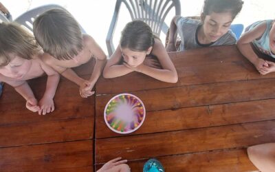 Voluntariat la Căminul Felix ca profesor de limba engleză